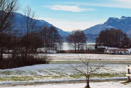 Wohnung zum Kaufen in Breitbrunn 348.000,00 € 64 m²