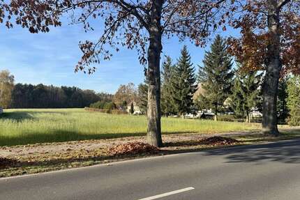Grundstück zu verkaufen in Groß Düben 33.500,00 € 1200 m²