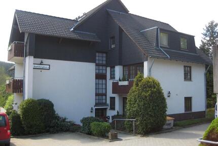 - Schöne möblierte 2-Zimmer Maisonette-Wohnung mit traumhaftem Blick - - Goslar OS Hahnenklee-Bockswiese