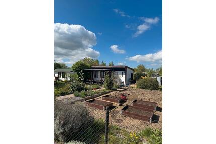 Gepachteter Kleingarten in Schwerin Medewege