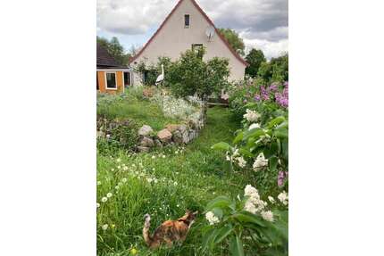 Haus zum Kaufen in Altwigshagen 159.000,00 € 80 m²