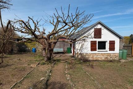 Garten Pacht-Garten Schrebergarten - Gera