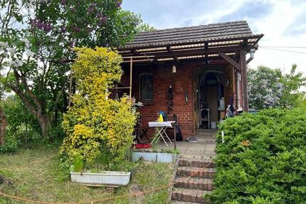 Kleingarten Pachtgarten in Kolkwitz - Cottbus