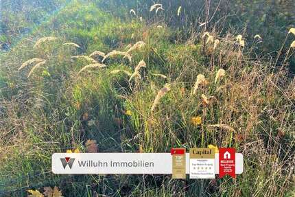 Grundstück zu verkaufen in Jesewitz 136.800,00 € 608 m²