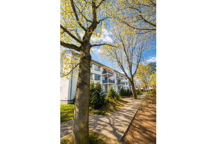 Wohnung zum Kaufen in Hanau 399.000,00 € 114 m²