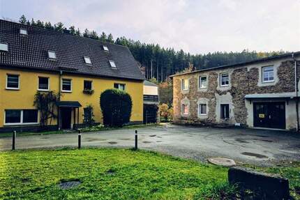 Zwei vermietete Mehrfamilienhäuser in idyllischer Stadtrandlage von Chemnitz - Investieren im Grünen - Amtsberg Dittersdorf