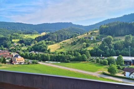 1,5 Zimmer Wohnung in OppenauIbach - Offenburg