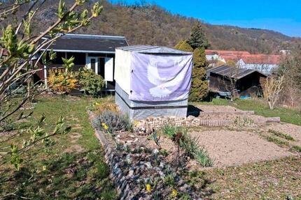 Kleingarten in Meissen wegen Umzug abzugeben - Meißen