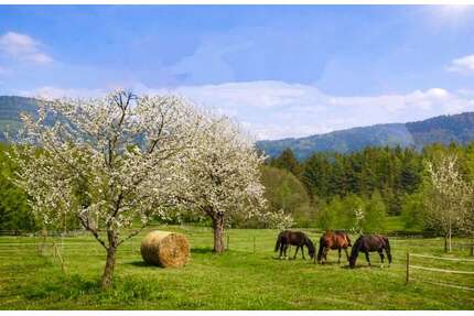 Haus zum Kaufen in Bernried 850.000,00 € 162 m²