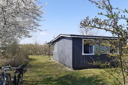 Beachhouse bei DahmeOstsee – Glamping-Idyll auf Campingplatz - Pullach im Isartal