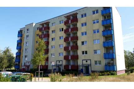 Wohnung zum Mieten in Stralsund 300,00 € 50.5 m²