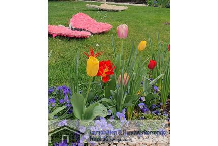 Haag i. OBB.1,5-Zi Gartenwohnung mit EBK und Garagenstellplatz in ruhiger Lage am Waldrand - Haag in Oberbayern