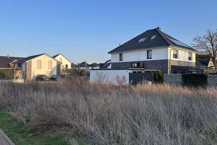 Grundstück zu verkaufen in Pattensen 185.000,00 € 446 m²