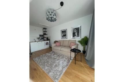 NACHMIETER ELBBLICK Dresden - 520,00&nbsp;EUR Kaltmiete, ca.&nbsp; 28,00&nbsp;m&sup2; in Dresden (PLZ: 01097) Neustadt