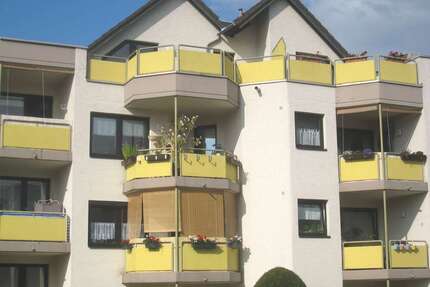 Wohnung zum Mieten in Bornheim 480,00 € 38 m²