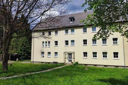 Wohnung zum Kaufen in Johanngeorgenstadt 25.000,00 € 64.79 m²
