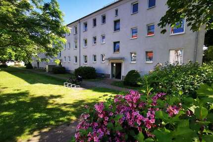 Wohnung zum Mieten in Güstrow 400,00 € 61 m²