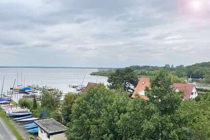 Wohnung zum Mieten in Wunstorf 370,00 € 29 m²