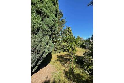 Grundstück zu verkaufen in Hamburg 399.000,00 € 837.74 m²