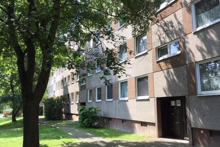 Wo das Leben so spielt - weitläufige 3-Zimmer-Wohnung - Kassel Nordshausen