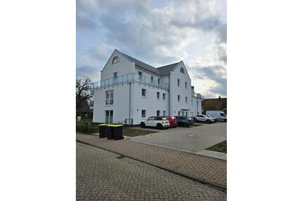 3-ZKB in Oldenburg (Bürgerfelde), große Terrasse