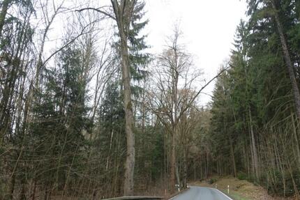 Netzschkau , Stoppbachtalstr. , acht Flurstücke mit zus.3030 qm
