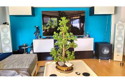 Möblierte 2 ZKB Wohnung im Universitätsviertel, 86159 Augsburg