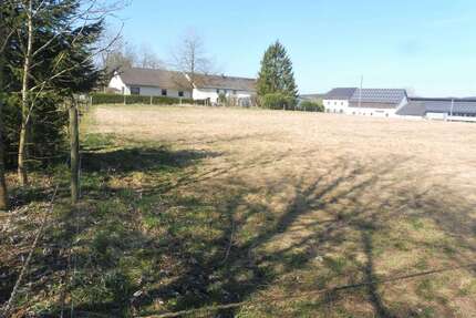 Grundstück zu verkaufen in Hellenthal 75.000,00 € 3135 m²