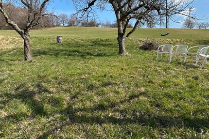 Obstbaumwiese Garten Gütle Freizeitgrundstück Stückle Wiese Obst - Metzingen