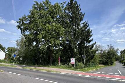 Grundstück zu verkaufen in Döbern 35.000,00 € 1877 m²