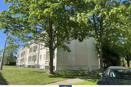 Wohnung zum Mieten in Dorfhain 368,00 € 66.9 m²