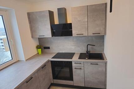 1 Zimmer Wohnung mit Küche zu vermieten in Detmerode - Wolfsburg Alt-Wolfsburg