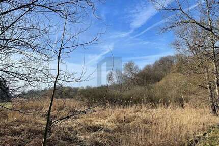 Grundstück zu verkaufen in Krummesse 299.000,00 € 4318 m²