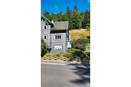 doppelhaushälfte in neumannsgrund - Neuhaus am Rennweg