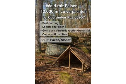 10.000 m² Wald mit Felsen bei Obersimten (66957) zu verpachten - Ruppertsweiler