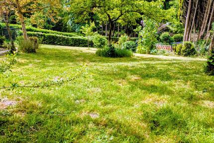Kleingarten 622 m², Obstbäume, Teich mit Goldfischen - Kiel Elmschenhagen