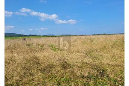 IHR WEG ZUM EIGENHEIM IN IDYLLISCHER EIFFELLAGE - Großlittgen