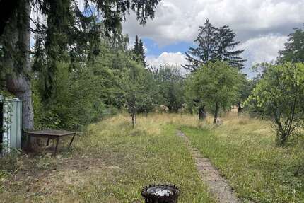 Grundstück zu verkaufen in Stammheim 89.000,00 € 1018 m²