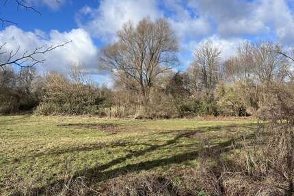 Grundstück zu verkaufen in Teltow 1.300.000,00 € 2390 m²