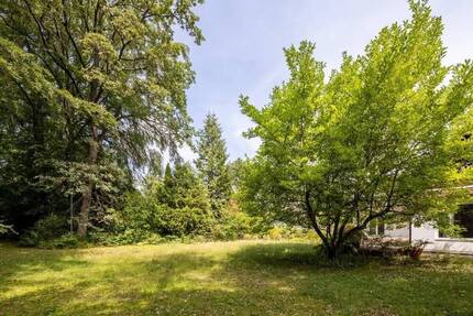 GRÜN I Herrliches Grundstück mit Altbestand - Grünwald