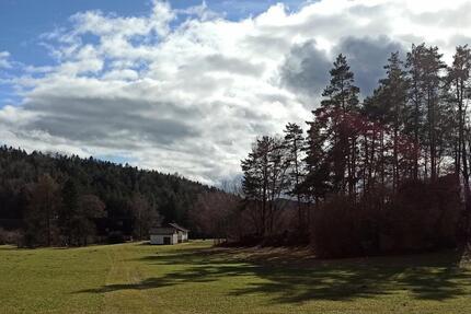 NATUR PUR... in idyllischer Fast - Aleinlage Nähe Happburg - Neumarkt in der Oberpfalz Altenhof