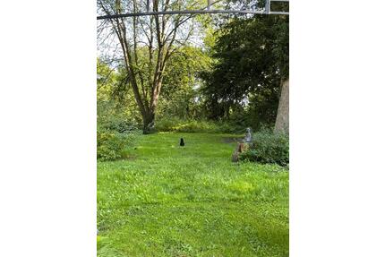 72qm 2-Zimmer-Altbauwohnung, Hochparterre, ländliche Lage - Oranienburg