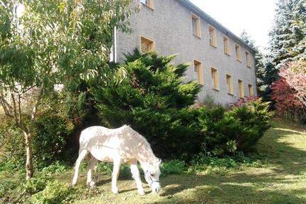 Resthof in Fast - Alleinlage mit 2ha Land - Gefell