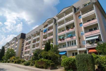 Wohnung zum Mieten in Freiberg 359,00 € 55.22 m²