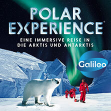 POLAR EXPERIENCE - Die immersive Ausstellung | Flexticket