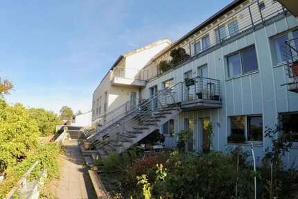 Wohnung zum Mieten in Bornheim 460,00 € 51 m²