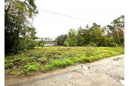 FREIRAUM FÜR IDEEN  BAUEN OHNE VORGABEN - Nittenau