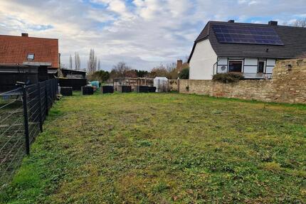 Grundstück Schadeleben am Concordiasee Ferienhaus - Selke-Aue