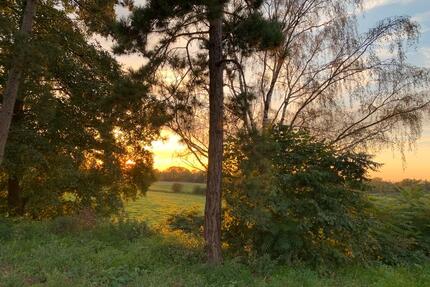 1000m² Haus Halle Hobby Gewerbe Tierhaltung 7000m² Grundstück - Leese