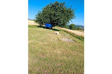 Baumgrundstück Streuobstwiese - 400,00&nbsp;EUR Kaltmiete, ca.&nbsp; 20,00&nbsp;m&sup2; in Illingen (PLZ: 75428)